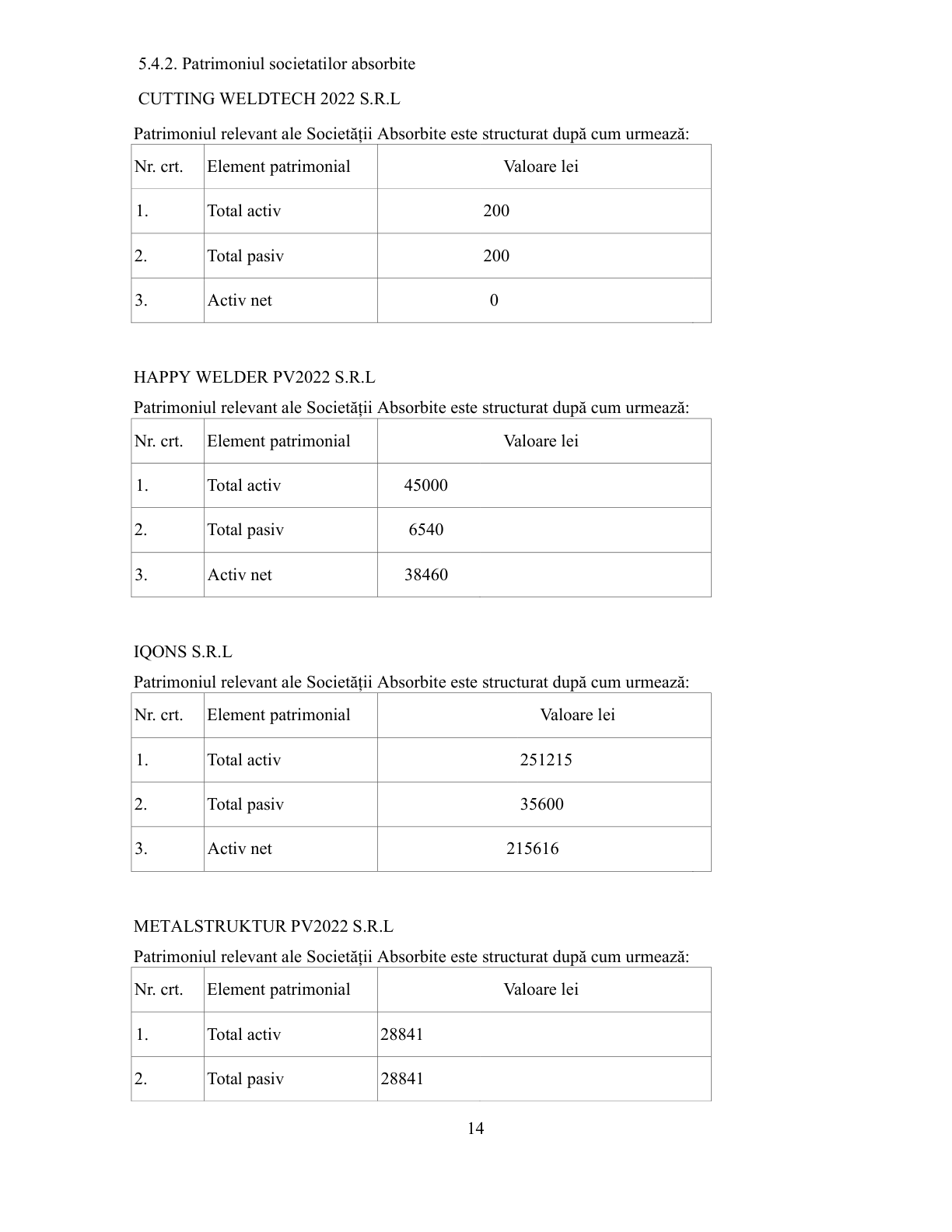 Proiect de fuziune – pagina 14