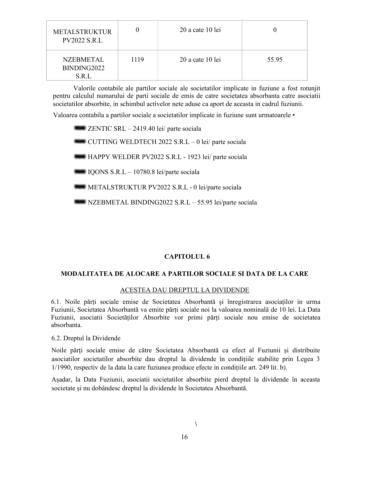 Proiect de fuziune – pagina 16